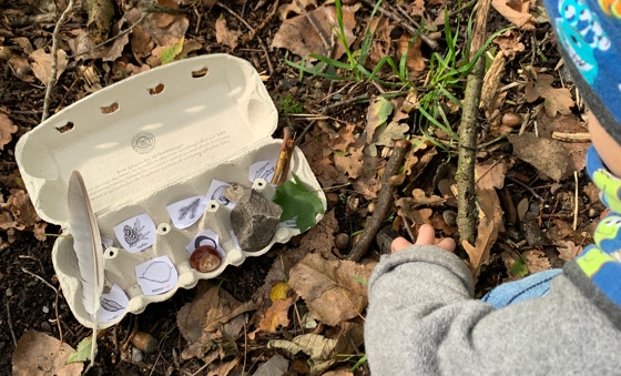Spielerische Wald erkundung