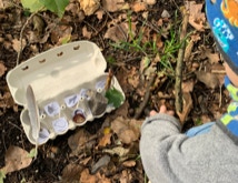 Spielerische Wald erkundung